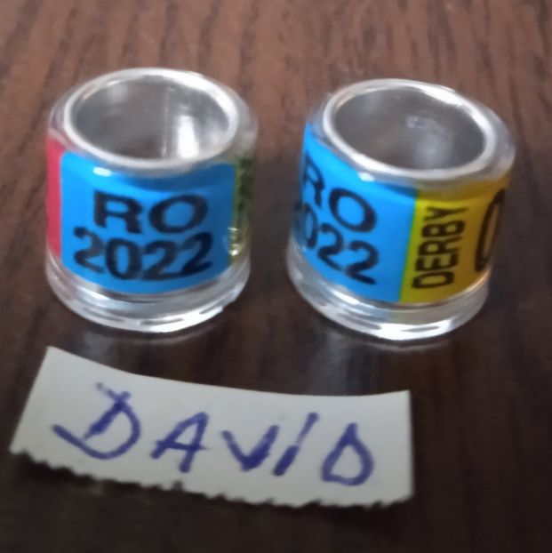 2022-Tricolor-8 mm....-1 leu - Inele 2014