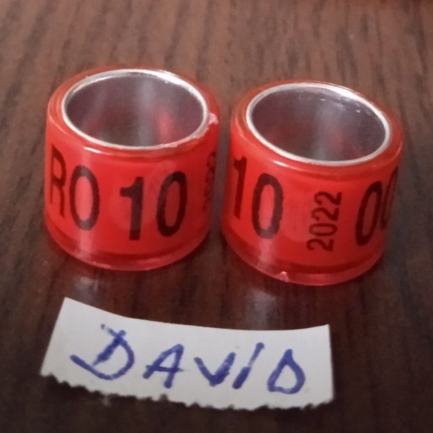 2022-Rosu-10 mm....-1 leu - Inele 2014