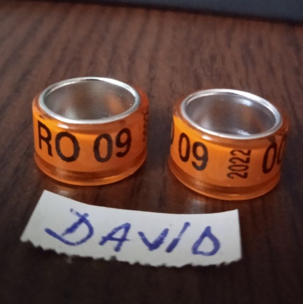 2022-portocaliu-9 mm....-1 leu - Inele 2014