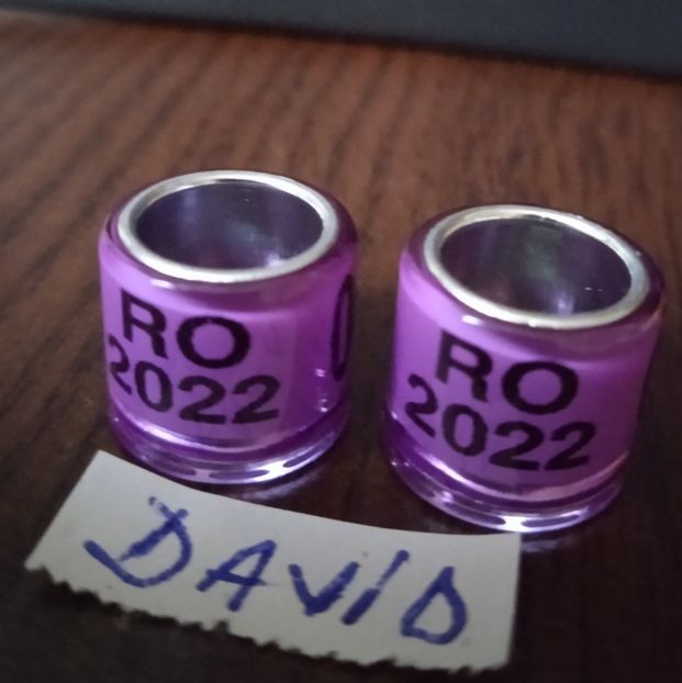 2022-Mov-8 mm....-1 leu - Inele 2014