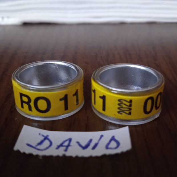 2022-Galben-11 mm....-1 leu - Inele 2014