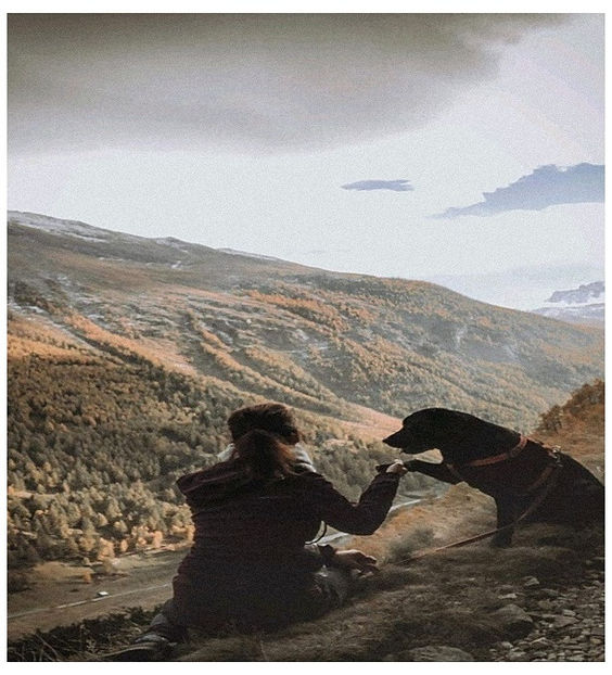 ♡ November 29 » „If only I could read the signs in front of me, I could find the way - Tomnatic și nostalgic