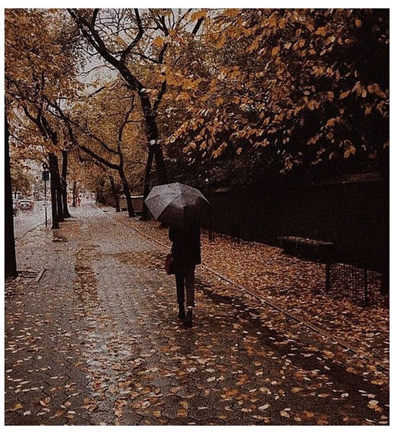 ♡ - Tomnatic și nostalgic