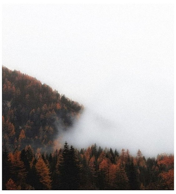 ♡ the end of 2021s ɑutumn ♡ - Tomnatic și nostalgic
