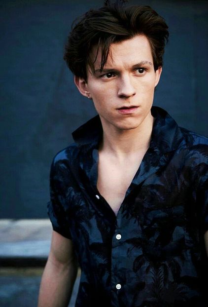 71624f755f448c48f57783a57c971b4a - Tom Holland