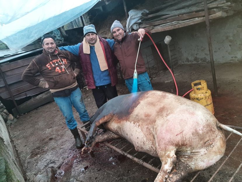  - Tăierea porcului 2021