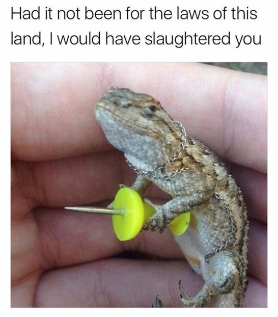  - get wasted until my mind s erased