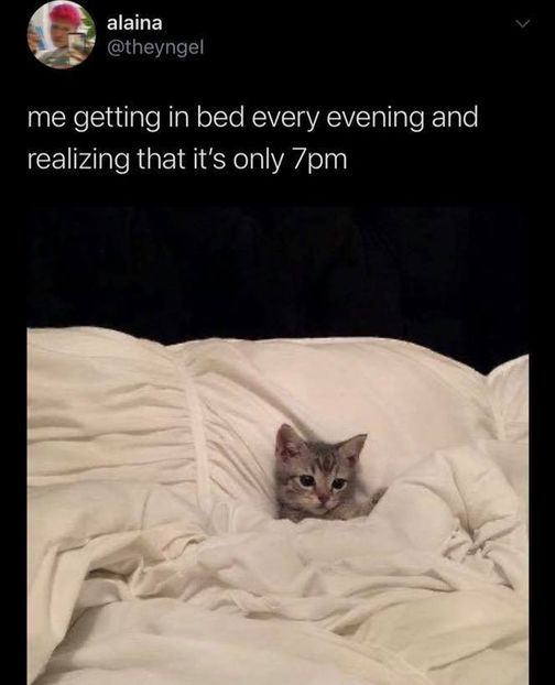  - get wasted until my mind s erased