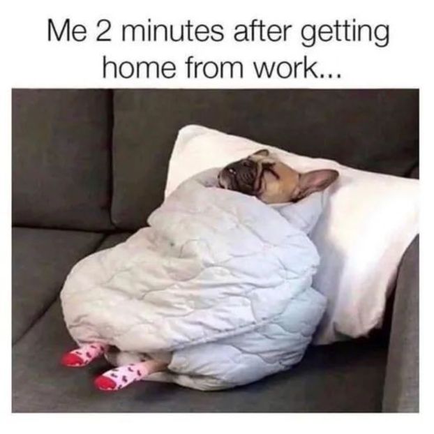  - get wasted until my mind s erased