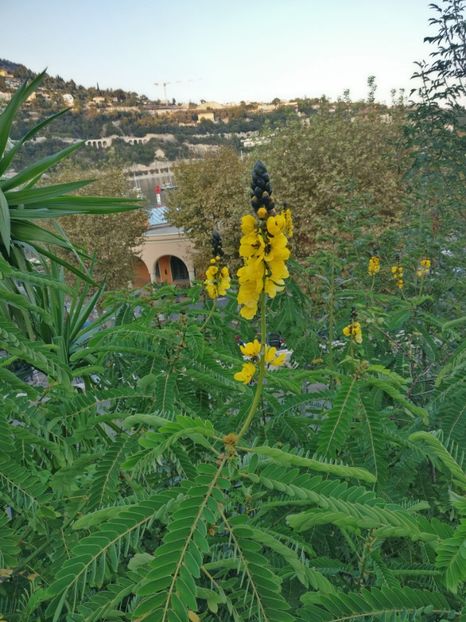  - Vizită în Franța in septembrie 2021