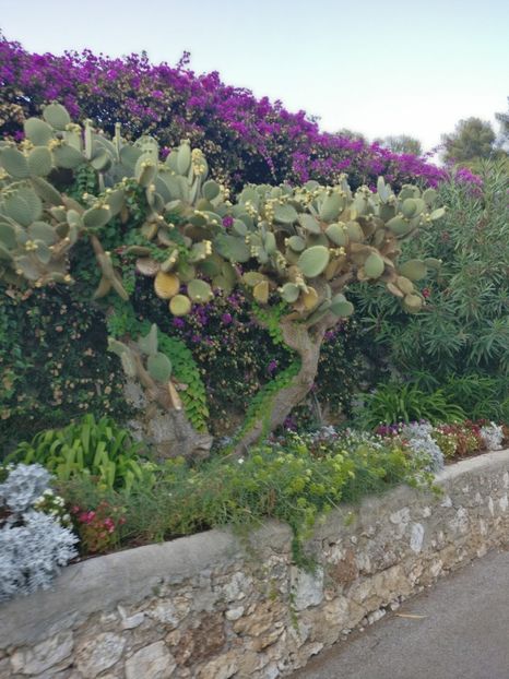  - Vizită în Franța in septembrie 2021