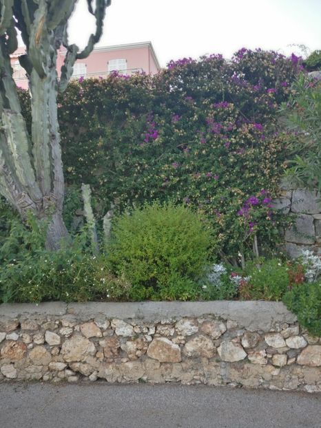  - Vizită în Franța in septembrie 2021