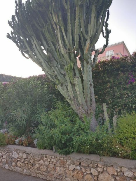  - Vizită în Franța in septembrie 2021