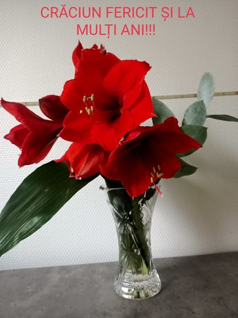 Dec. 2021 - Calendarul