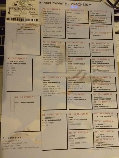 825ped - Achizitii porumbei -2021