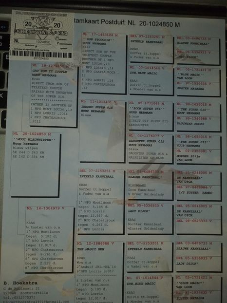 50ped - Achizitii porumbei -2021