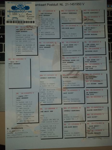 950ped - Achizitii porumbei -2021