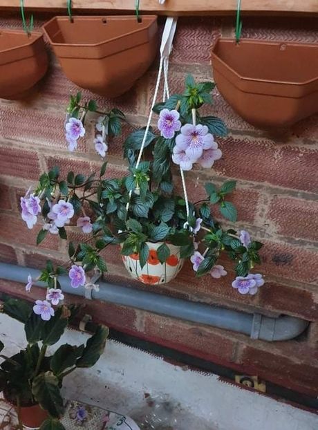 received_1034273447152469 - Ambroise Verchaflet