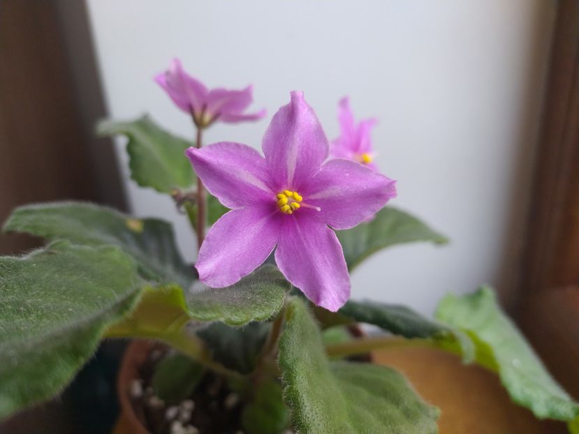 5: decembrie 2021 - Zzz_BOB s Omega