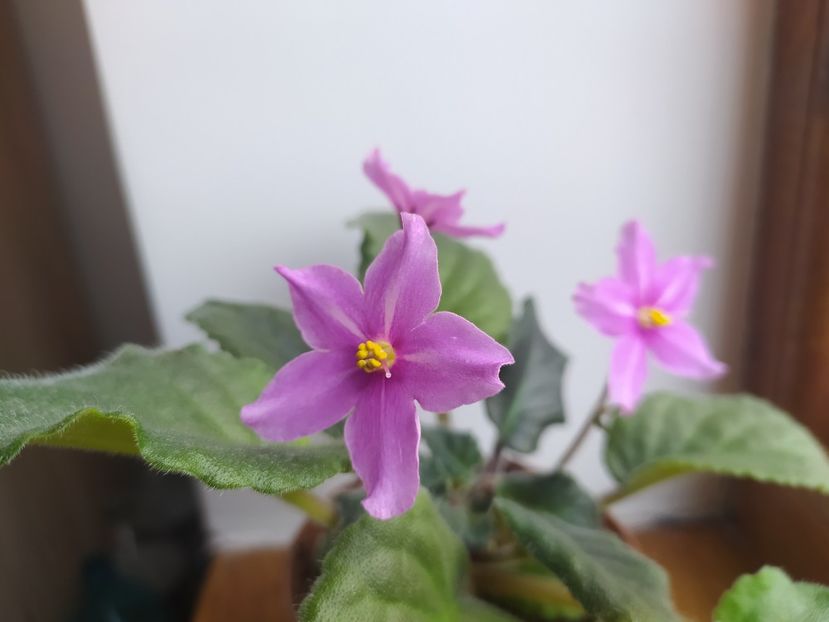 5: decembrie 2021 - Zzz_BOB s Omega