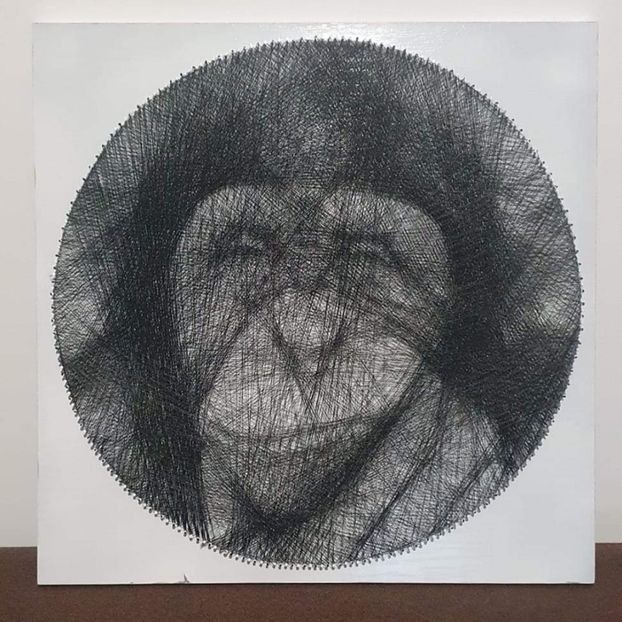 2 - 3 Tablouri String Art