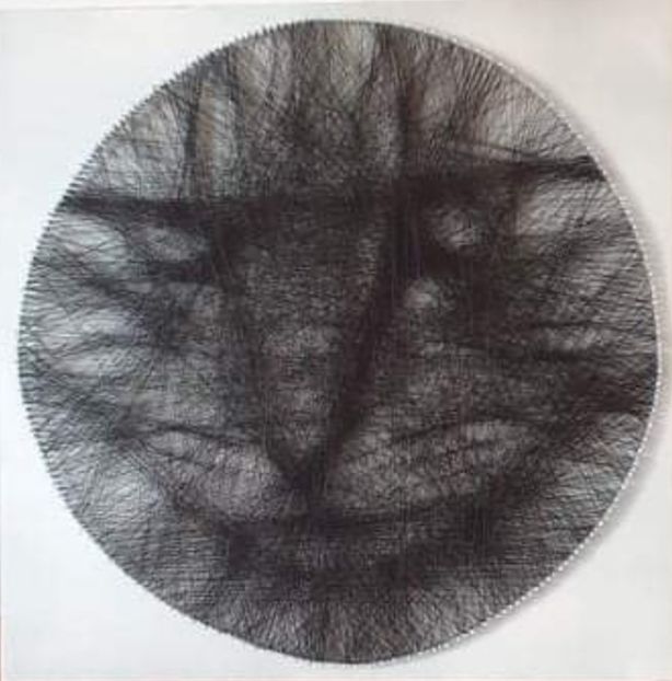 6 - 3 Tablouri String Art