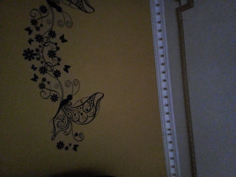 JPEG_20211207_101546_3813216276294187085 - trandafiri