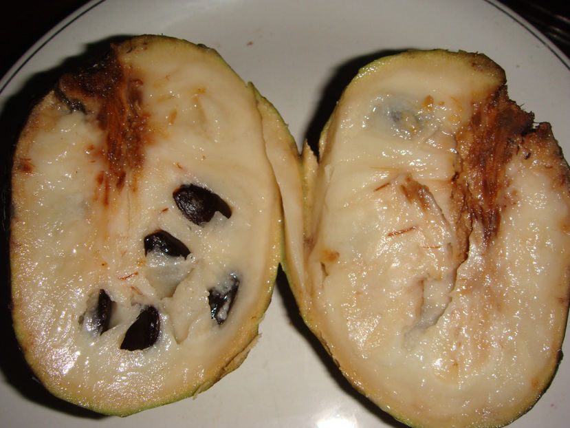  - Cherimoya