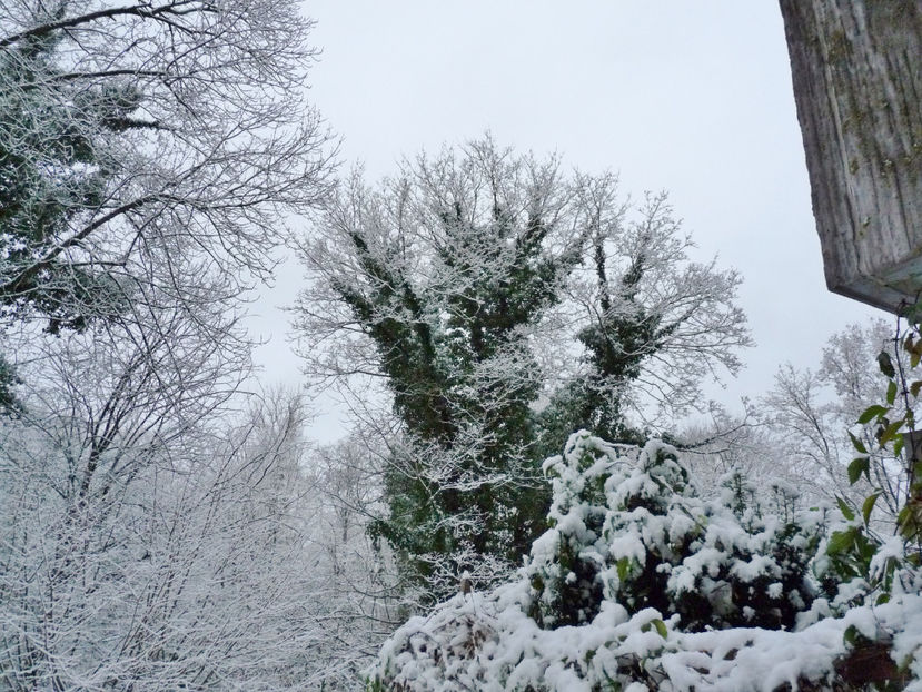  - 2021 - 04 - 2022 - 00 - Iarna