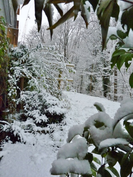  - 2021 - 04 - 2022 - 00 - Iarna