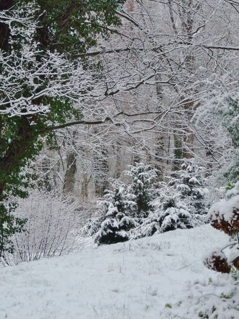  - 2021 - 04 - 2022 - 00 - Iarna