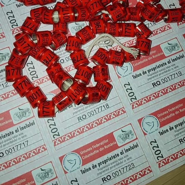 2022- UFCR(FCI) + talon...-2 lei - Inele 2014