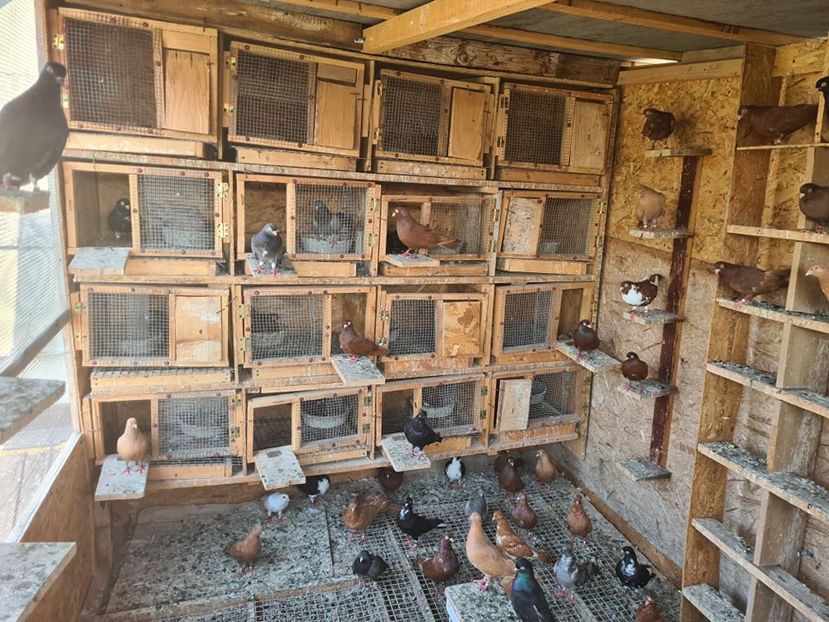  - 1926 Geinur Normambet