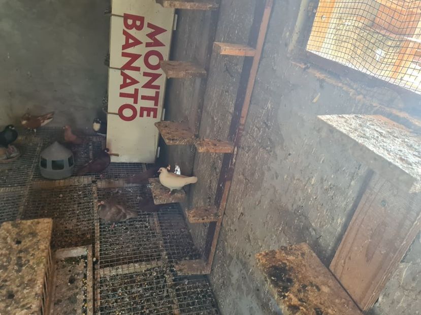  - 1926 Geinur Normambet