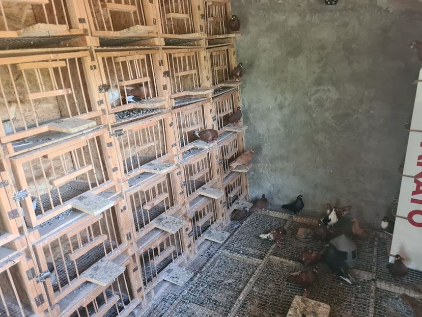  - 1926 Geinur Normambet