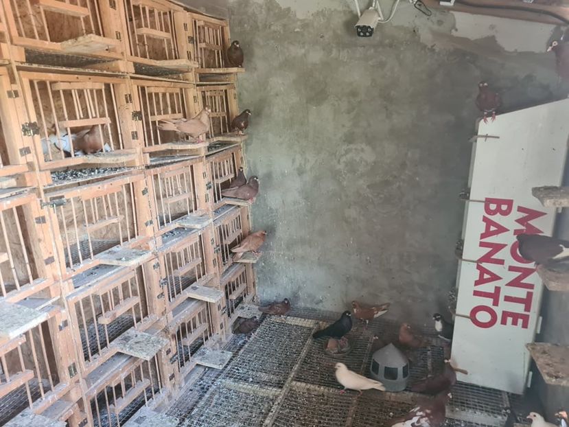  - 1926 Geinur Normambet