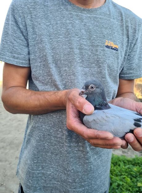  - 1926 Geinur Normambet