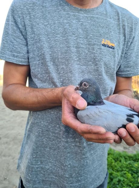  - 1926 Geinur Normambet