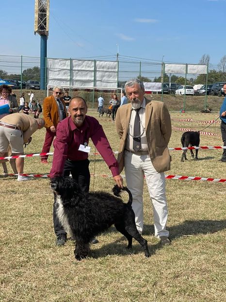  - CAINE PORTUGHEZ DE APA