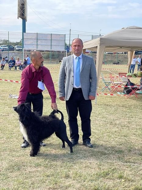  - CAINE PORTUGHEZ DE APA