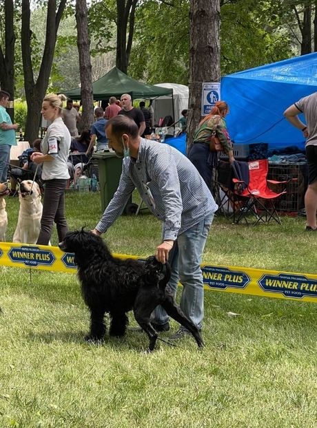  - CAINE PORTUGHEZ DE APA