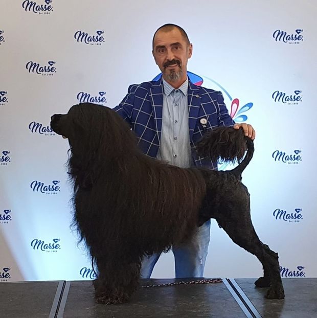  - CAINE PORTUGHEZ DE APA