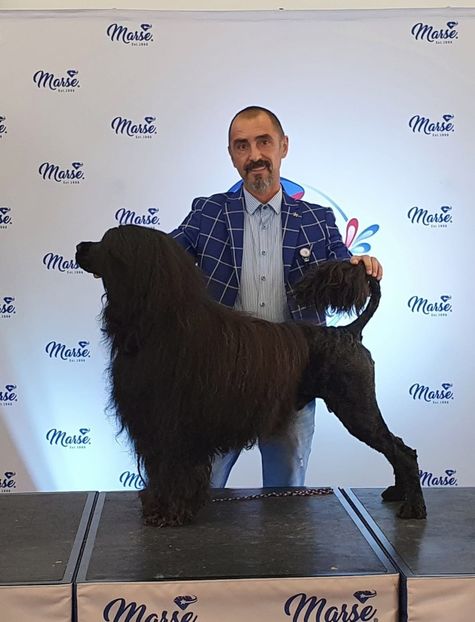  - CAINE PORTUGHEZ DE APA