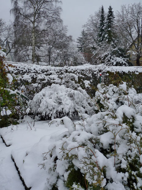  - 2021 - 04 - 2022 - 00 - Iarna