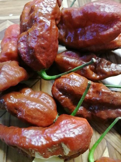  - SEMINTE ARDEI IUTE - AI 121 JIGSAW X BIG BLACK MAMA - NEIZOLAT