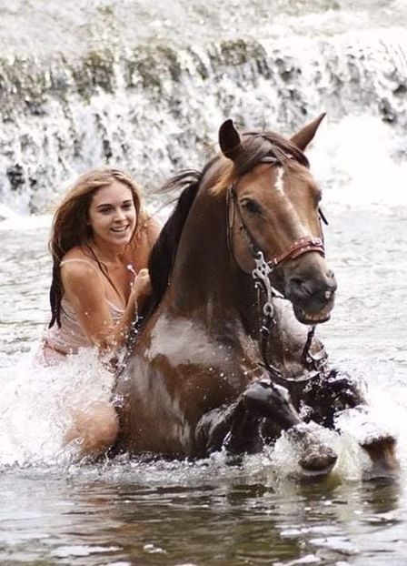  - Cai animale nobile