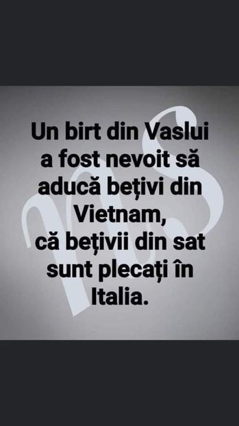  - Divertisment 6