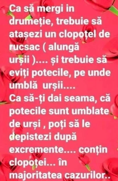  - Divertisment 6