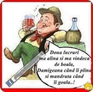  - Divertisment 6