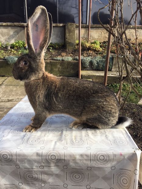 D169C0D5-F959-4BFB-9FD5-FF78C708ED99 - RO 8-2123